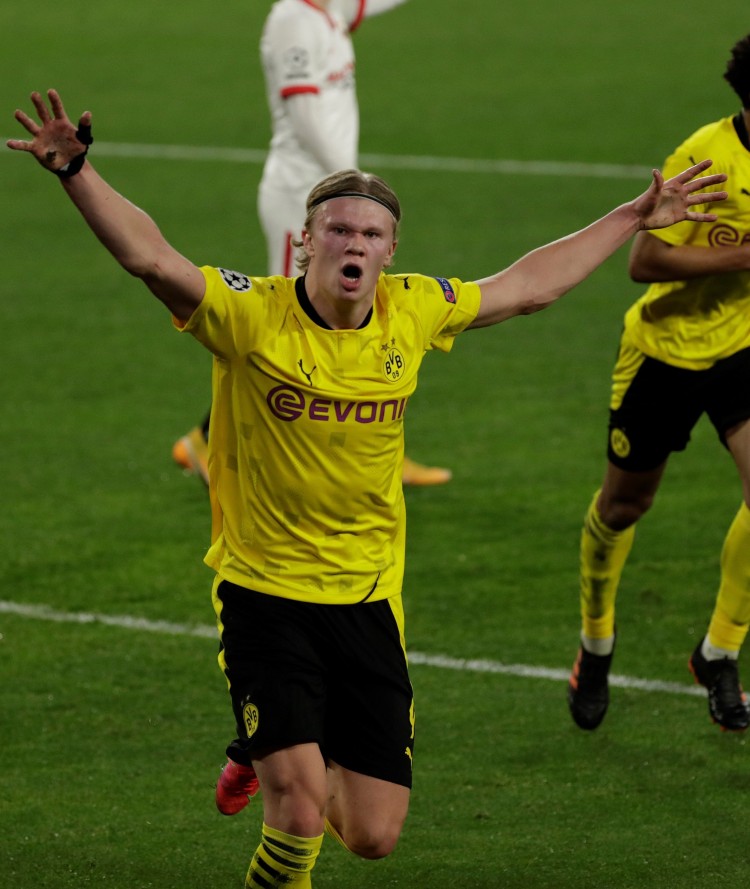 世界男排联 世界男排联