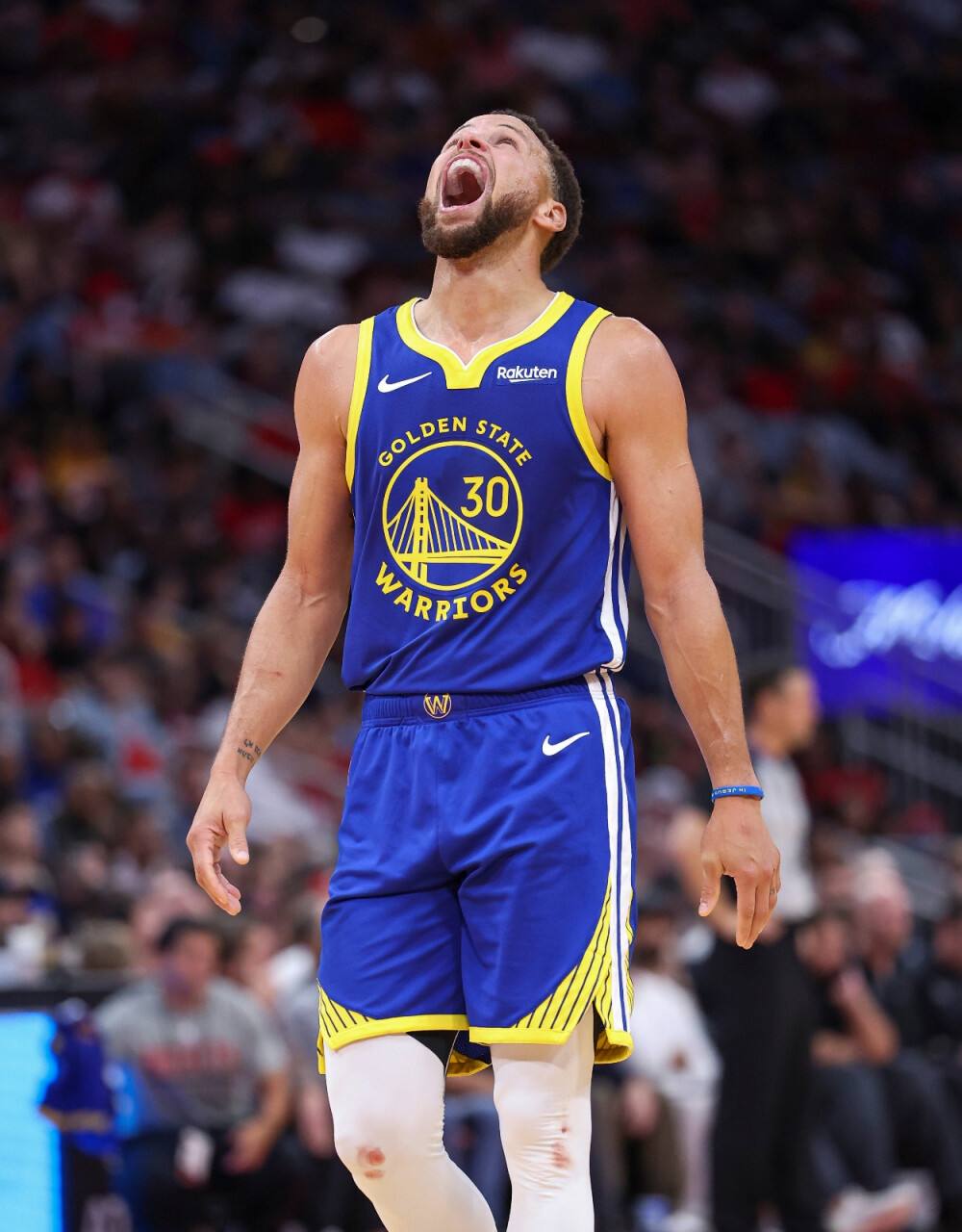 整体而言 整体而言